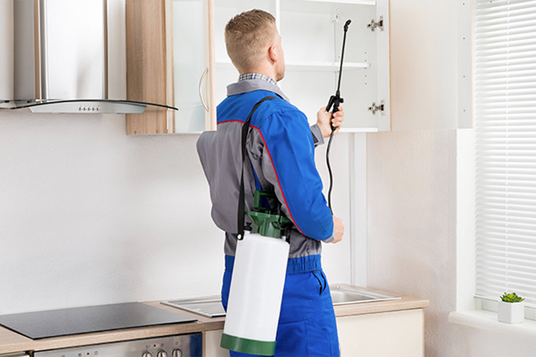 pest control professional spreaying kitchen cupboard